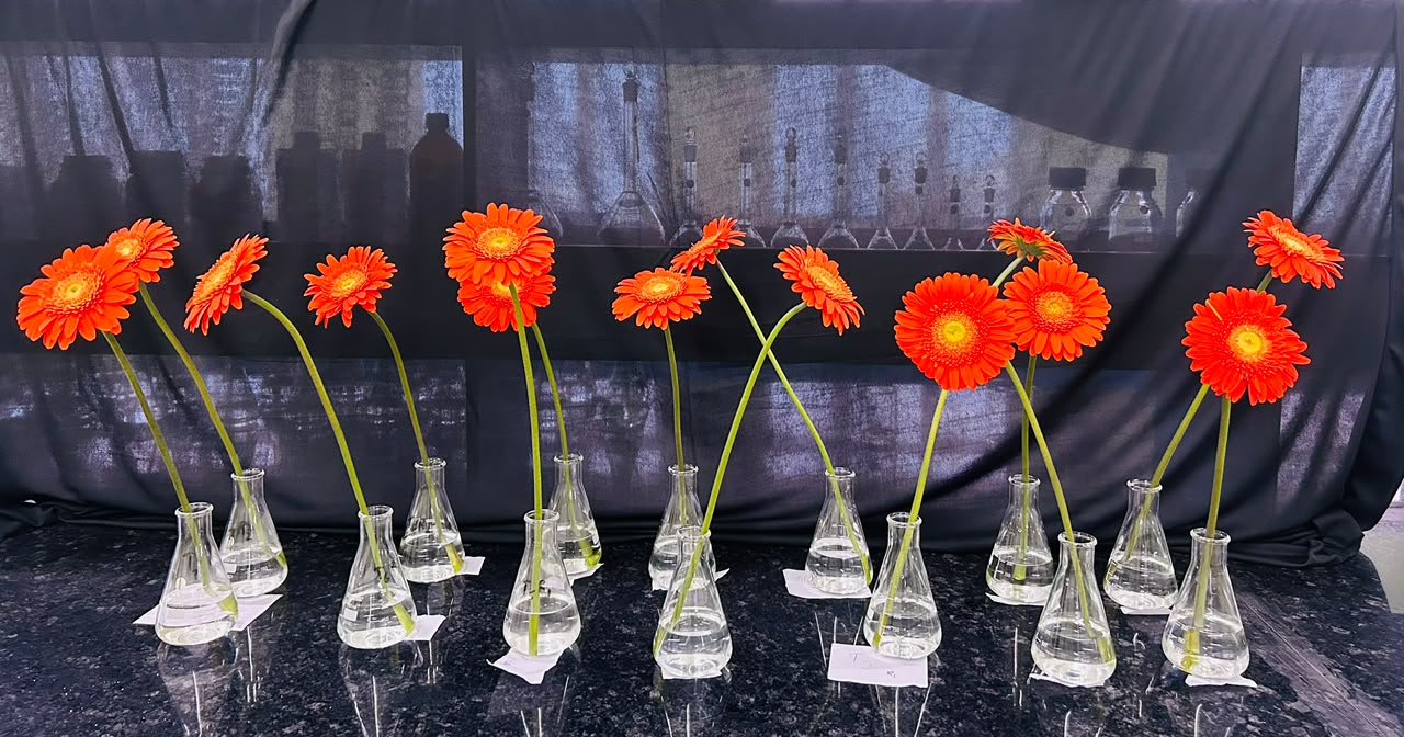Floriculture and Landscape Architecture department field photo